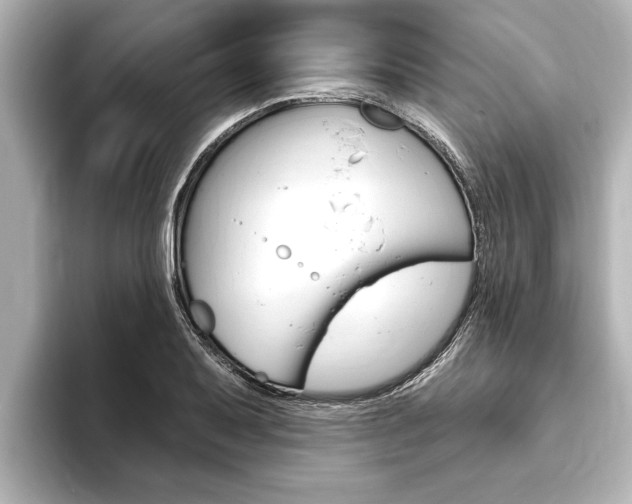 X0000093741079200710160745