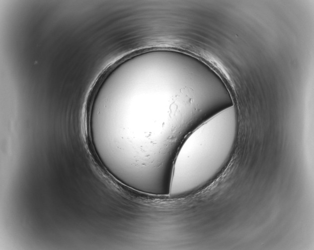 X0000093741080200710160745