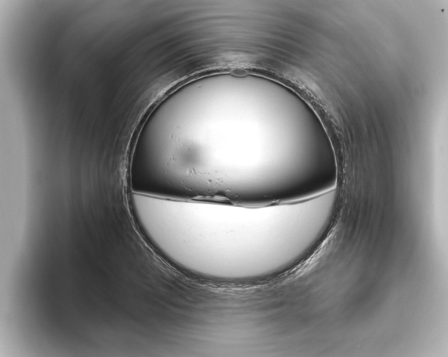X0000093741081200710160745