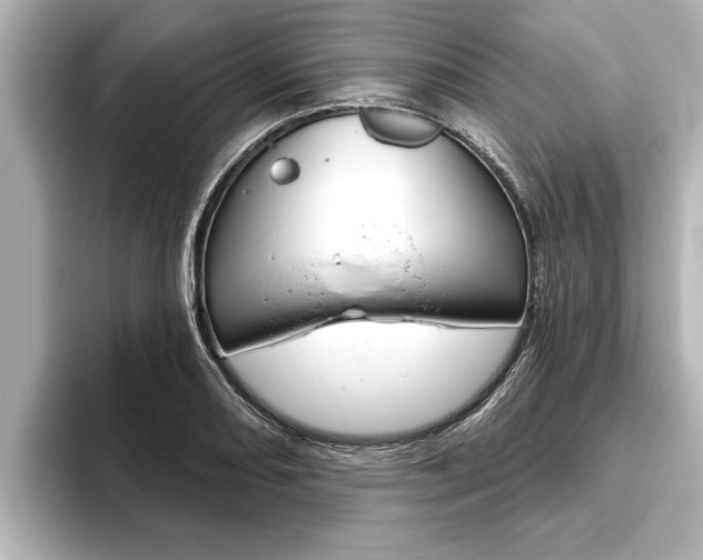 X0000093741082200710160745