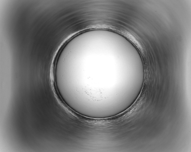 X0000093741084200710160745