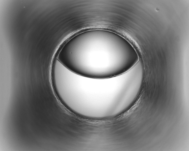 X0000093741085200710160745