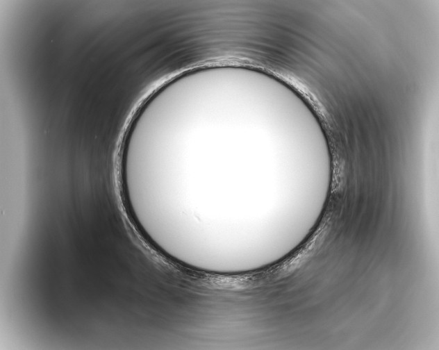 X0000093741086200710160745