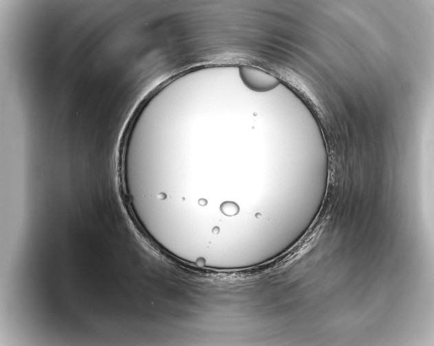 X0000093741087200710160745