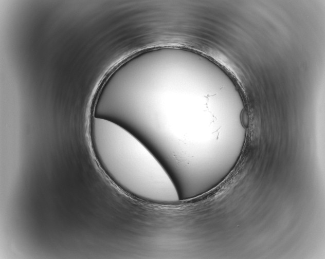 X0000093741088200710160745