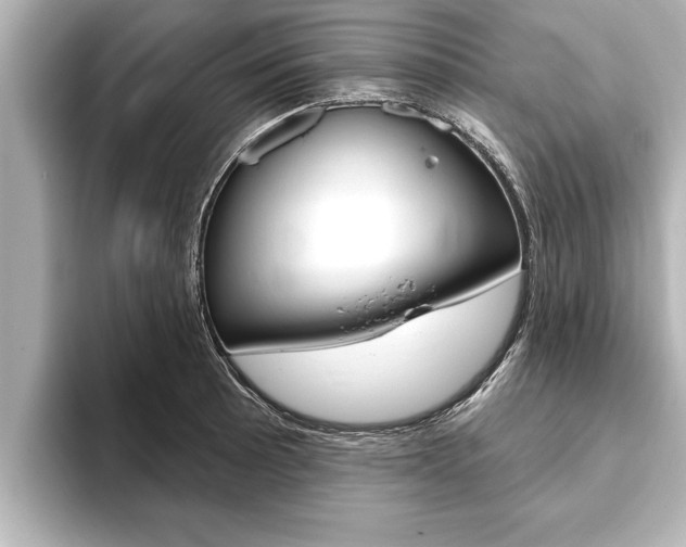 X0000093741089200710160745