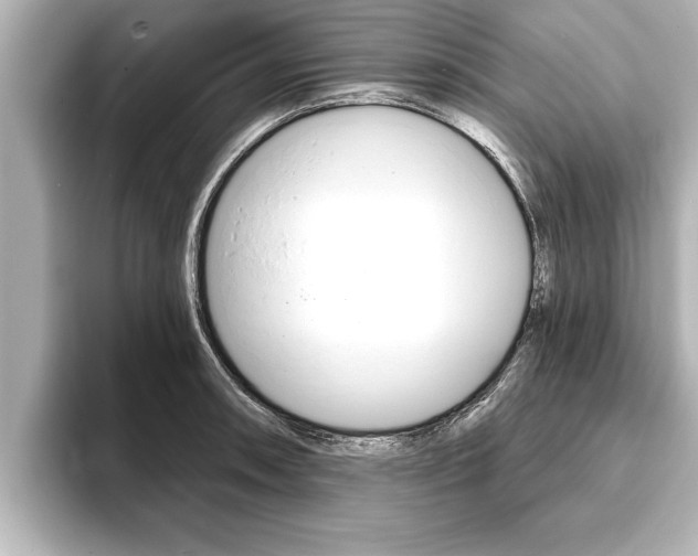 X0000093741090200710160745