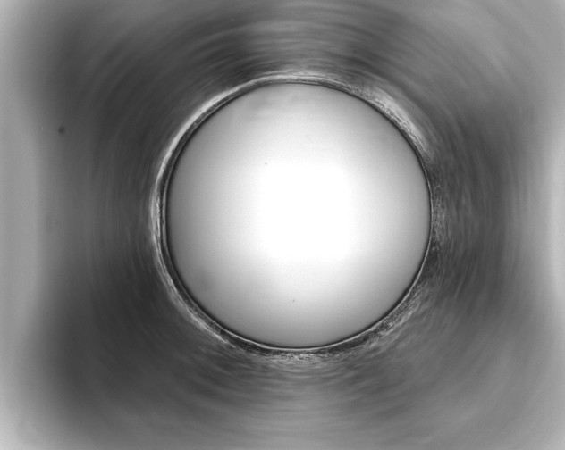 X0000093741092200710160745