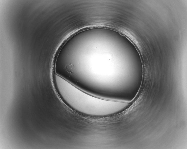 X0000093741093200710160745