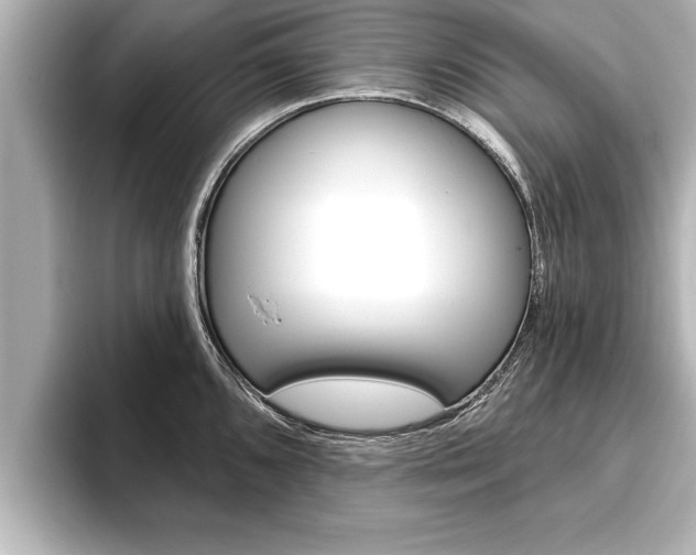 X0000093741096200710160745