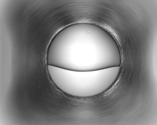 X0000093741097200710160745