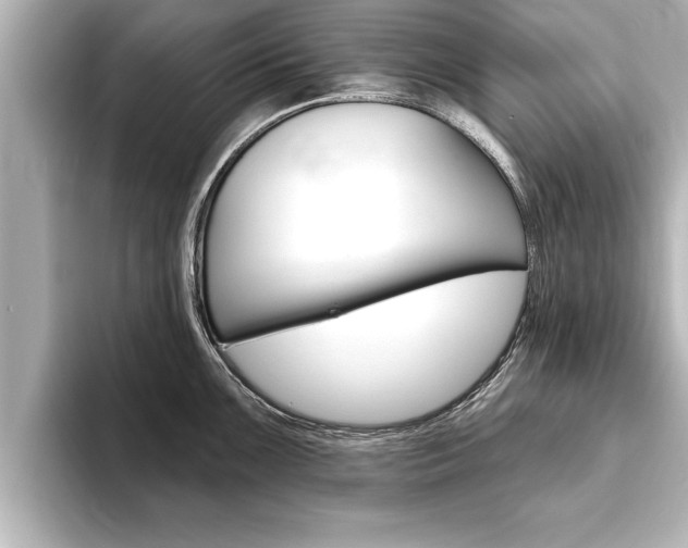 X0000093741099200710160745