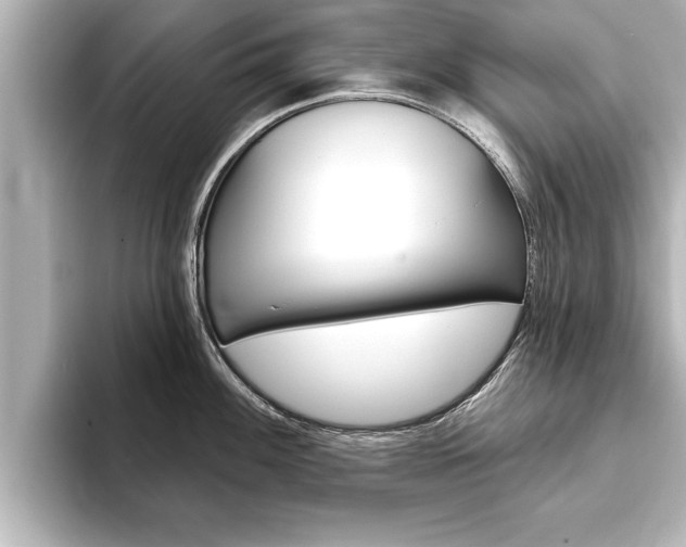 X0000093741100200710160745