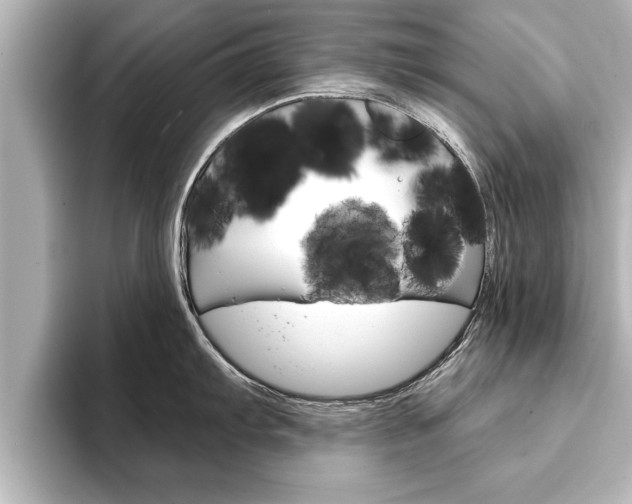 X0000093741103200710160745