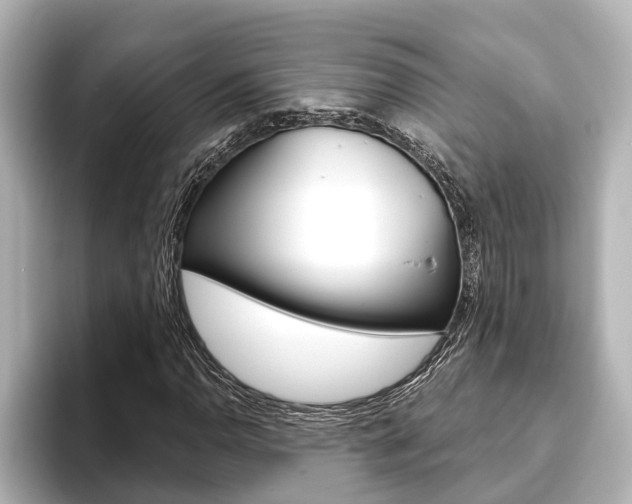 X0000093741110200710160744