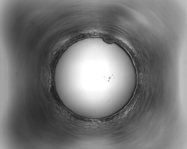 X0000093741111200710160744