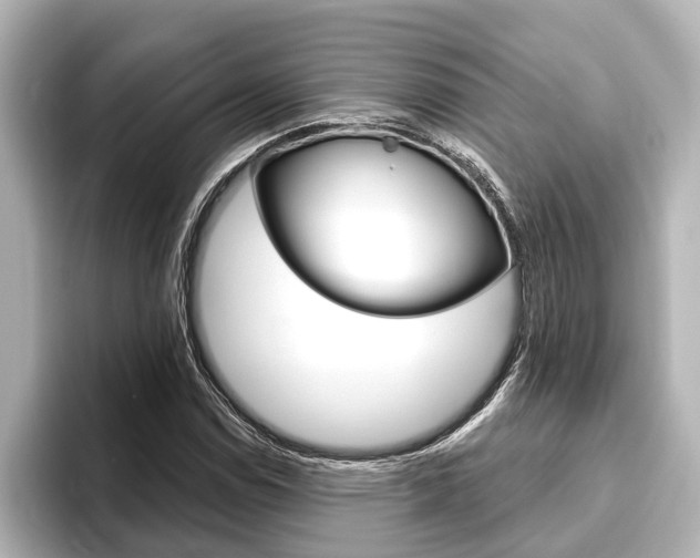 X0000093741114200710160744