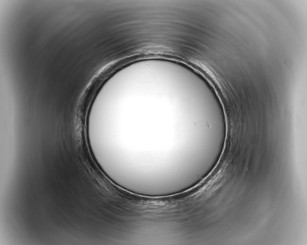 X0000093741115200710160744