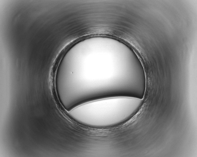 X0000093741119200710160744