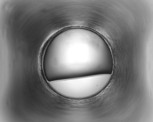 X0000093741120200710160744