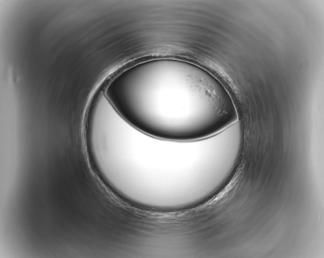 X0000093741122200710160744