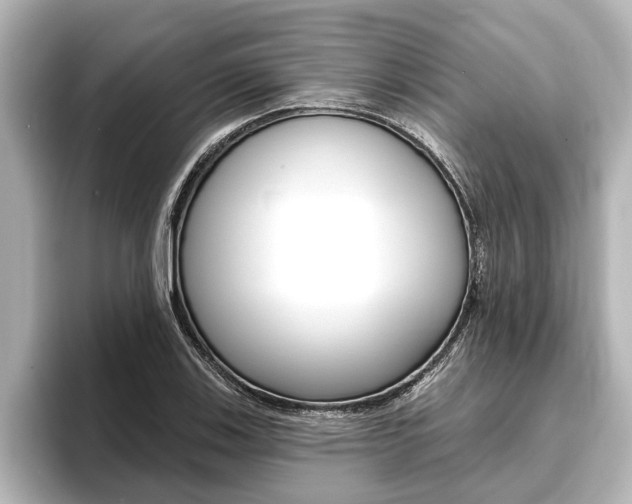 X0000093741123200710160744