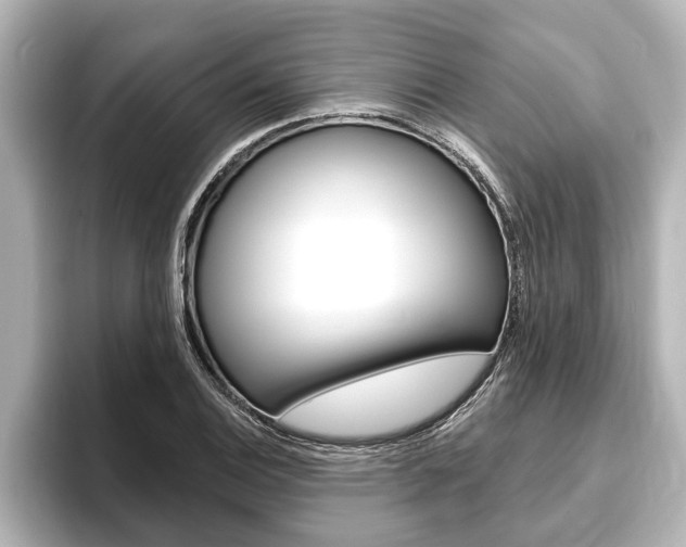 X0000093741124200710160744