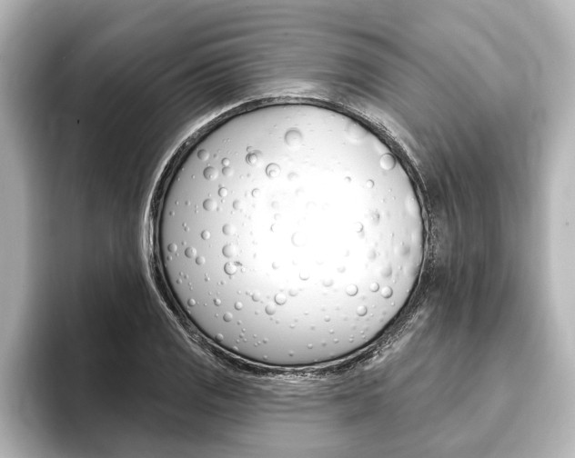 X0000093741125200710160744