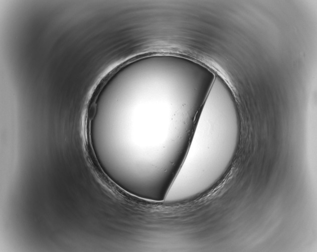 X0000093741128200710160744