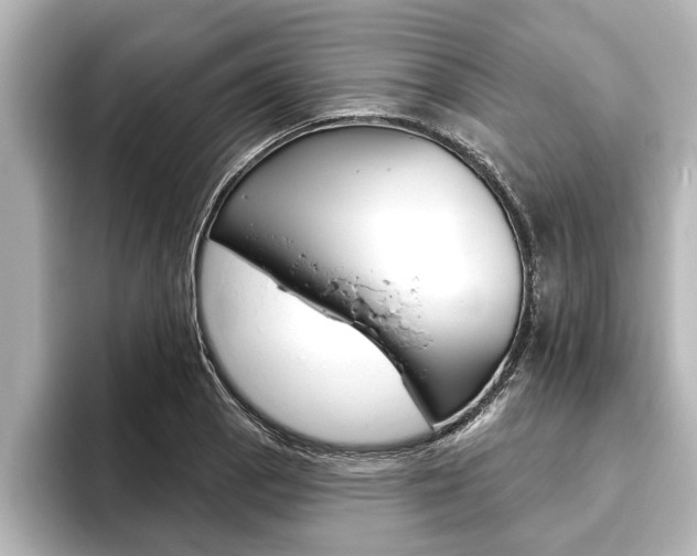 X0000093741129200710160744