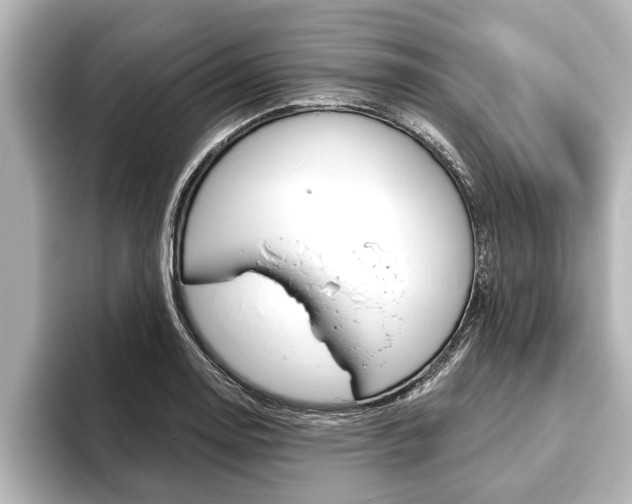 X0000093741130200710160744