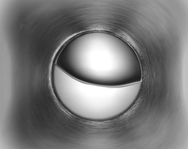 X0000093741132200710160744