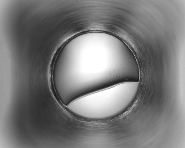 X0000093741133200710160744