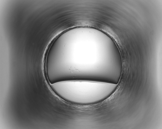 X0000093741135200710160744