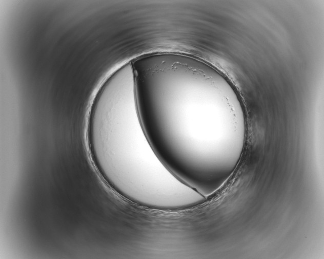 X0000093741136200710160744