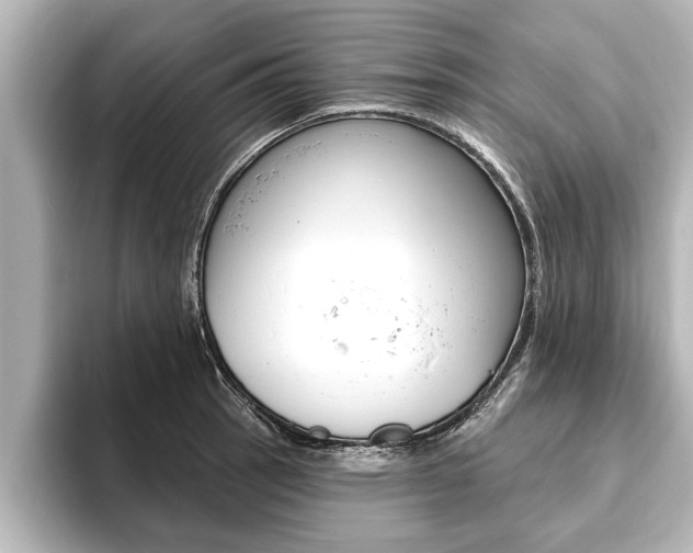 X0000093741137200710160744