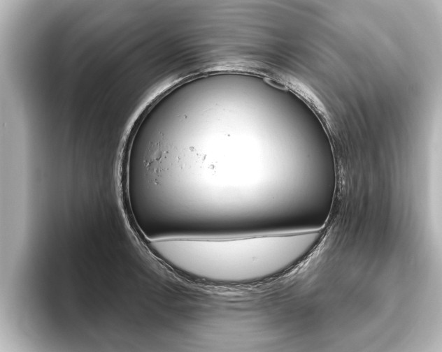 X0000093741138200710160744
