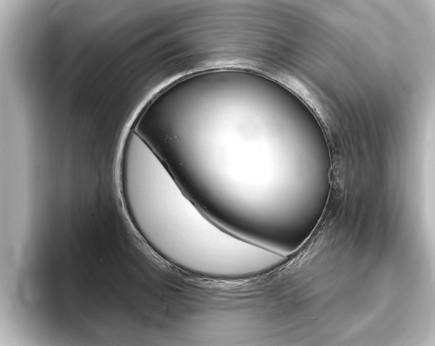 X0000093741140200710160744