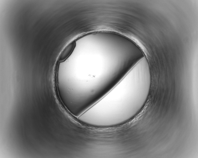 X0000093741142200710160744