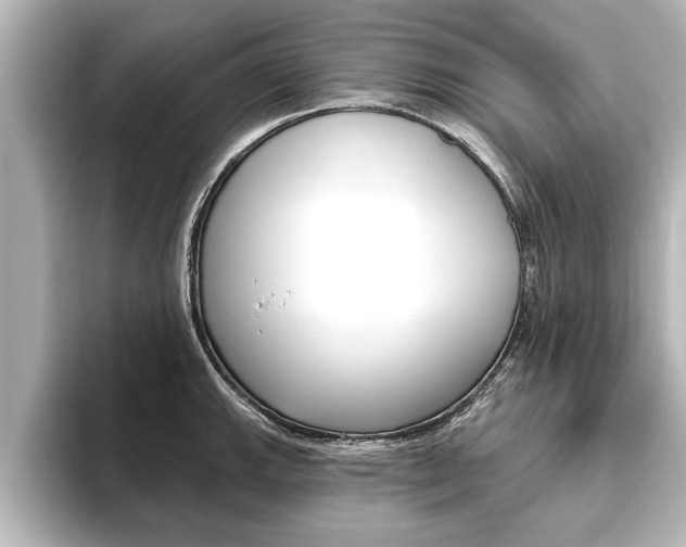 X0000093741143200710160745