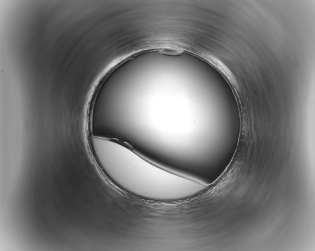 X0000093741144200710160745