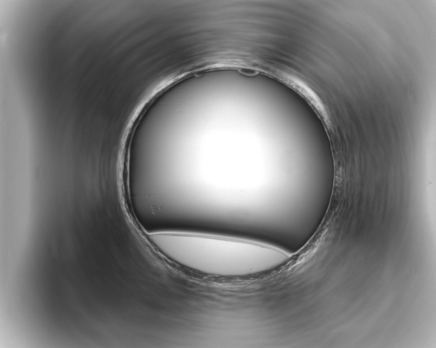 X0000093741146200710160745