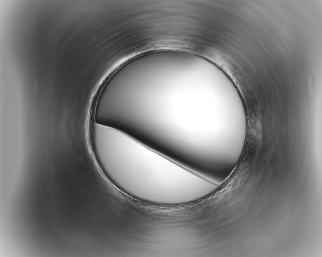 X0000093741147200710160745