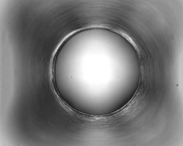 X0000093741148200710160745