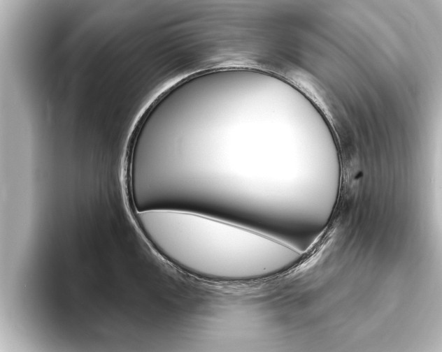X0000093741149200710160745