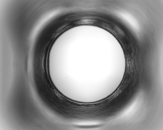 X0000093741150200710160745