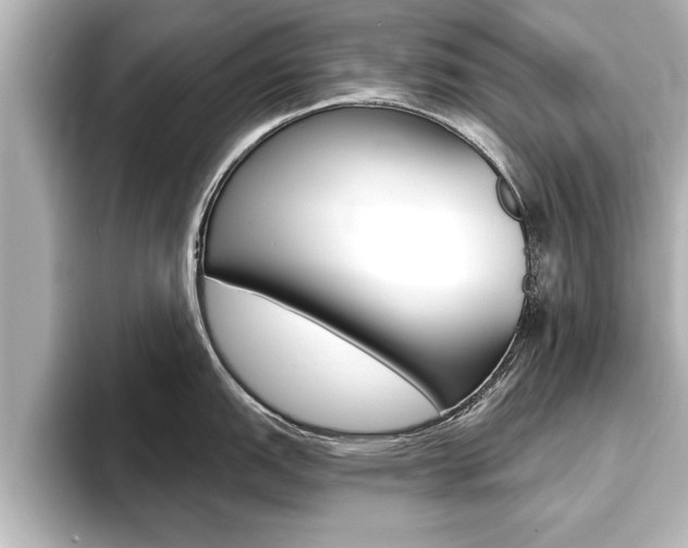 X0000093741151200710160745