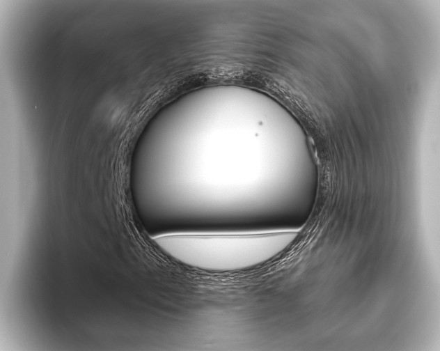 X0000093741153200710160744