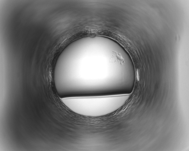 X0000093741155200710160744