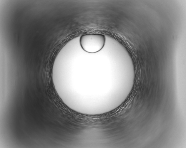 X0000093741157200710160744